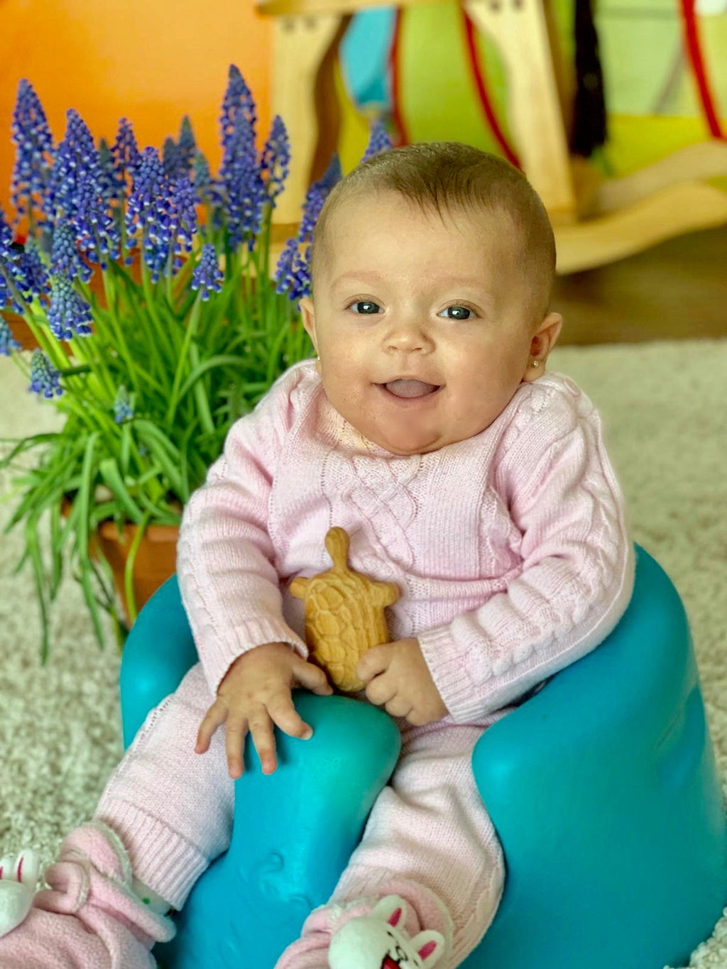 Organic Wooden Rattle toy Turtle