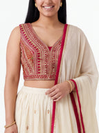 2053 - Lehenga Choli set
