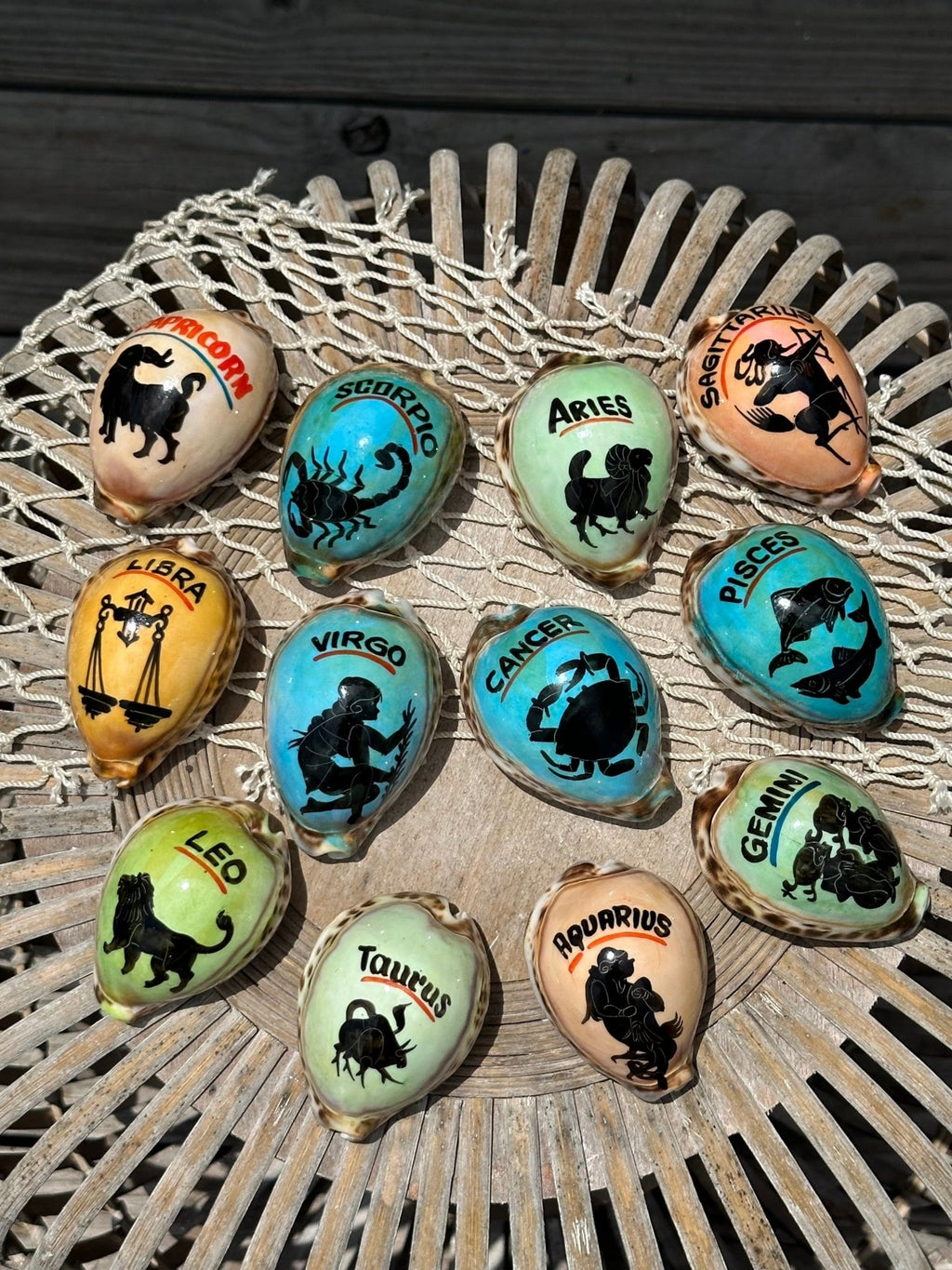 Painted Zodiac Sign Cowrie Shell La Vie Bien Painted Zodiac Sign Cowrie Shell