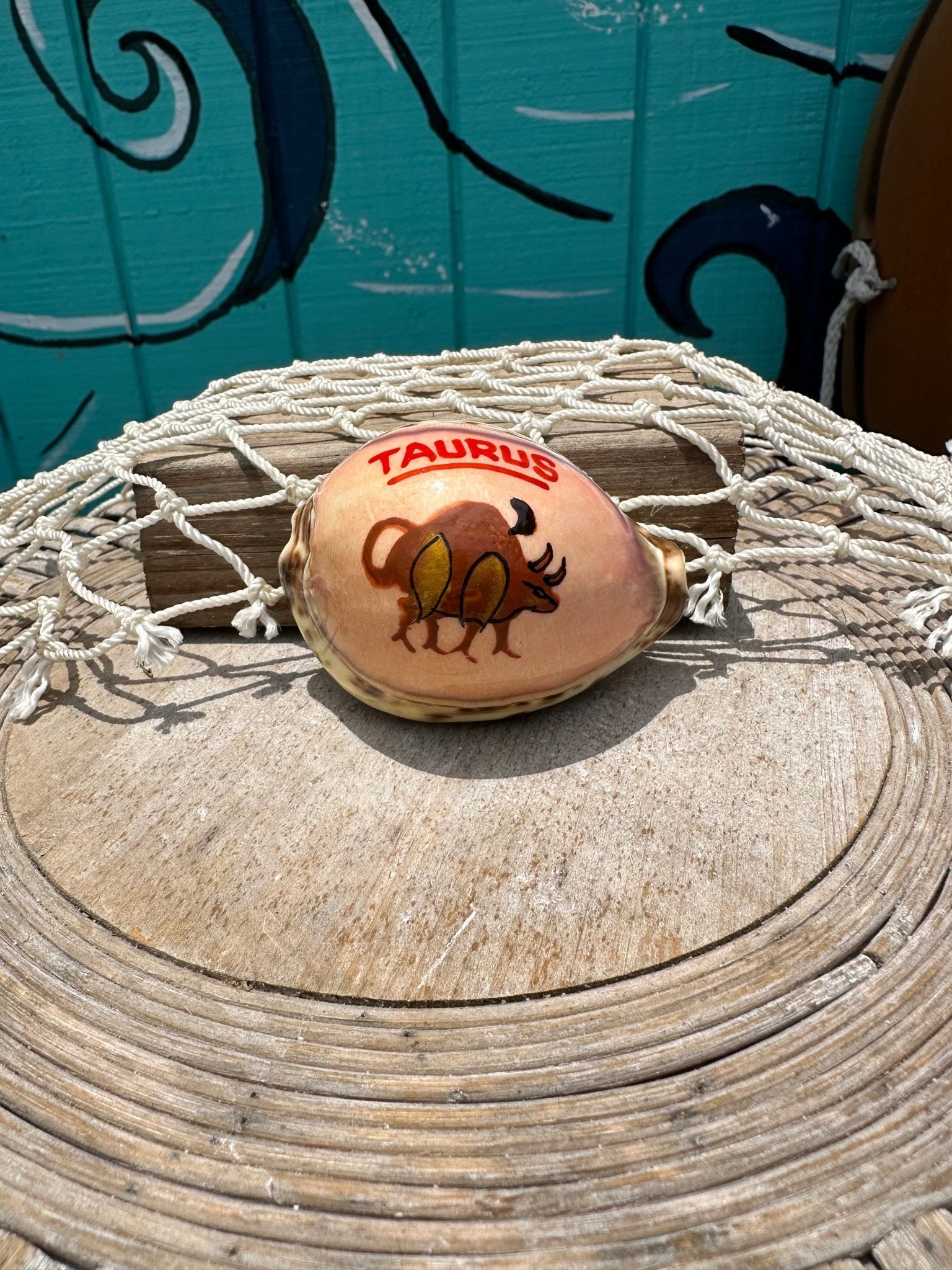 Painted Zodiac Sign Cowrie Shell La Vie Bien Painted Zodiac Sign Cowrie Shell