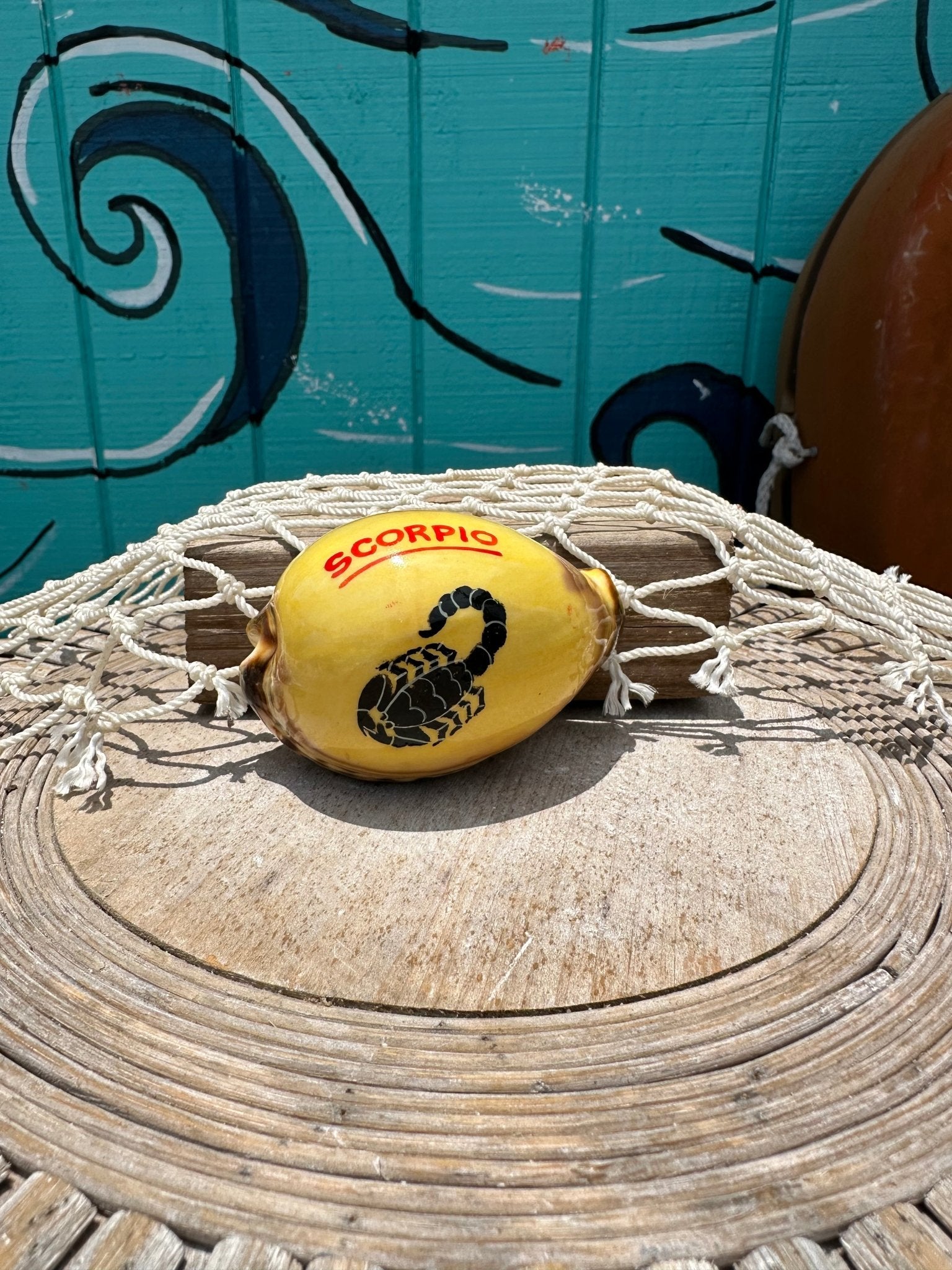 Painted Zodiac Sign Cowrie Shell La Vie Bien Painted Zodiac Sign Cowrie Shell