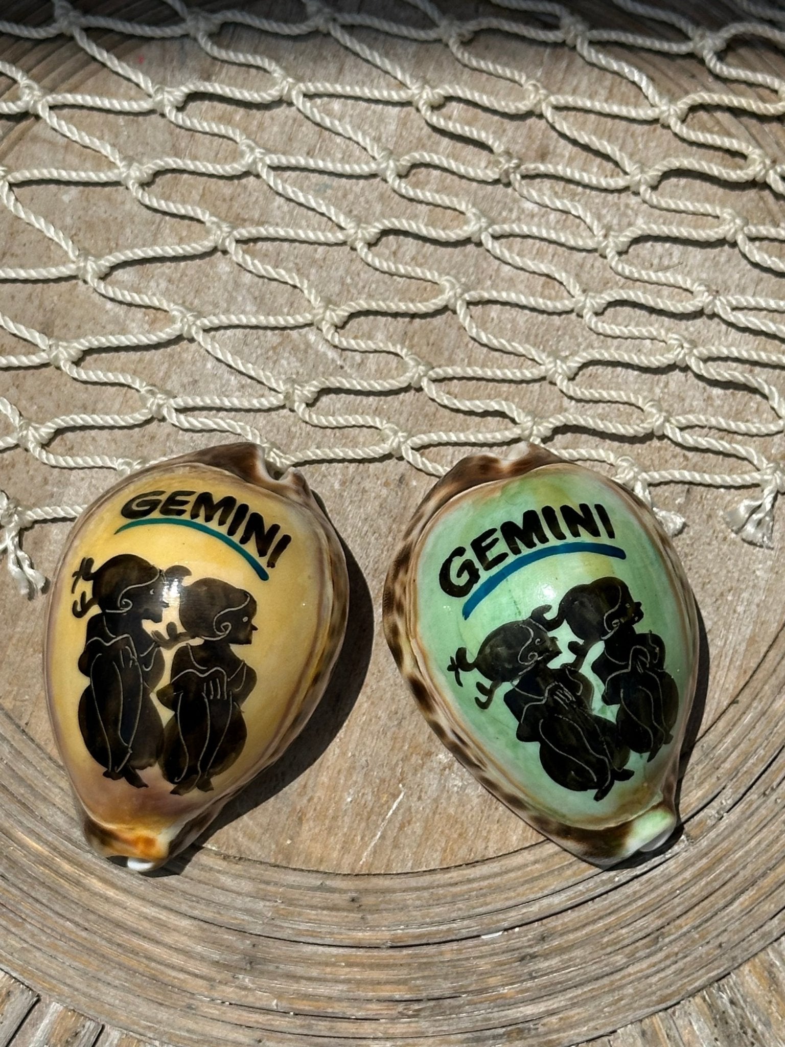 Painted Zodiac Sign Cowrie Shell La Vie Bien Painted Zodiac Sign Cowrie Shell