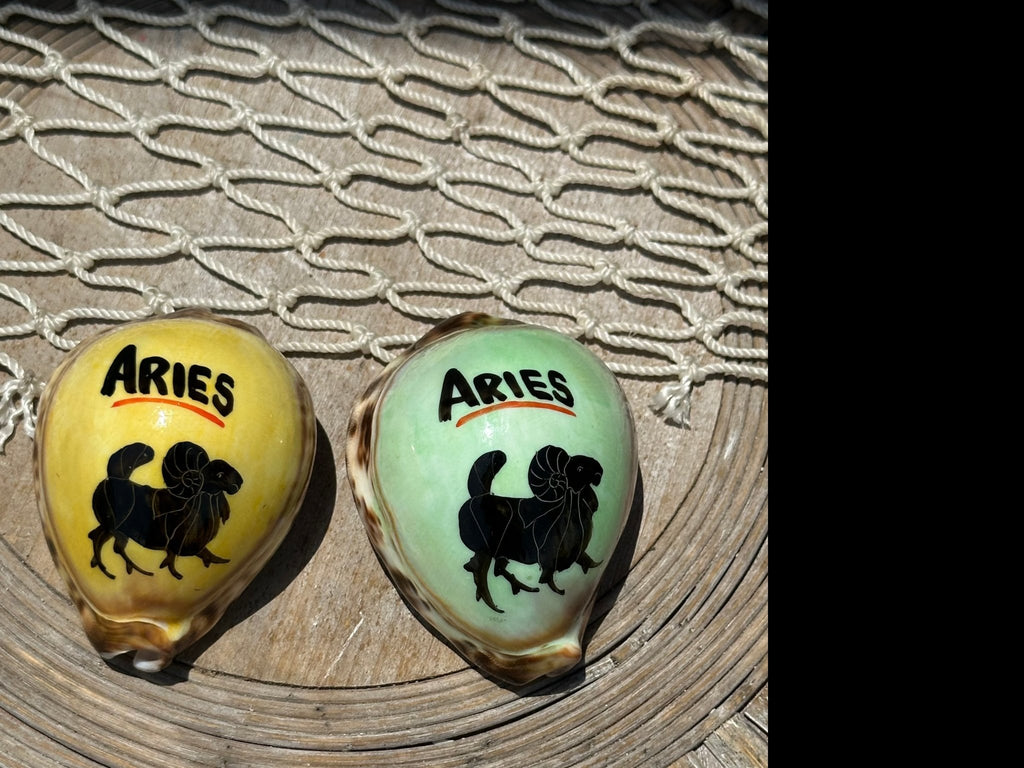 Painted Zodiac Sign Cowrie Shell La Vie Bien Painted Zodiac Sign Cowrie Shell