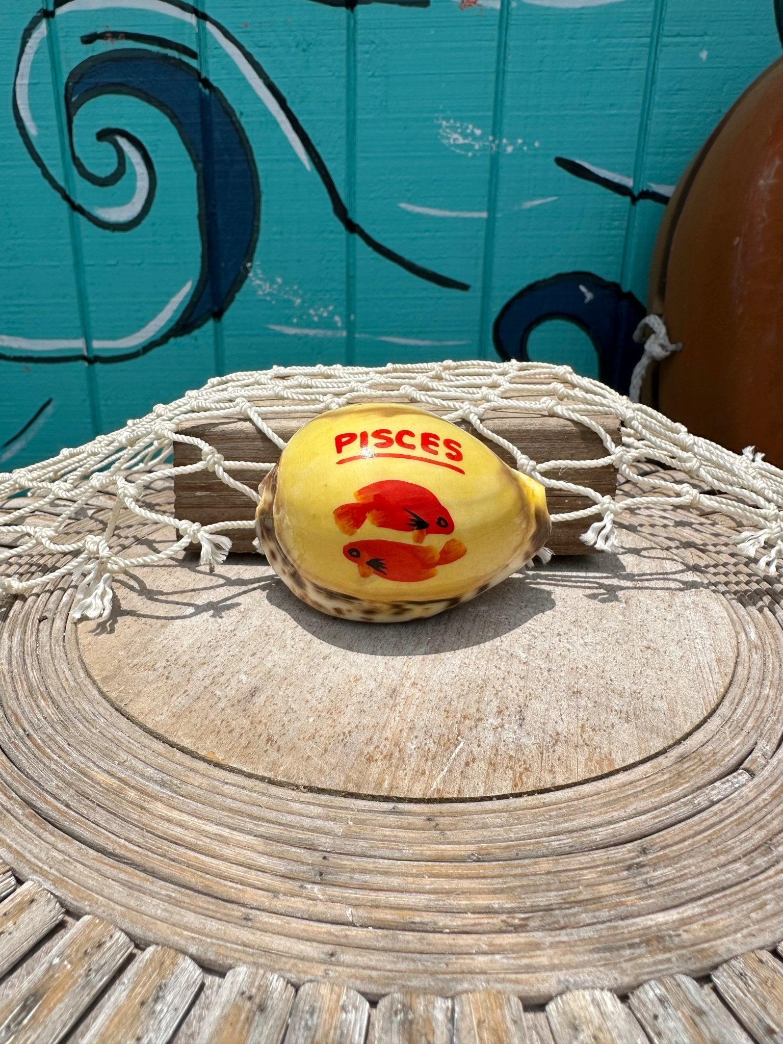Painted Zodiac Sign Cowrie Shell La Vie Bien Painted Zodiac Sign Cowrie Shell