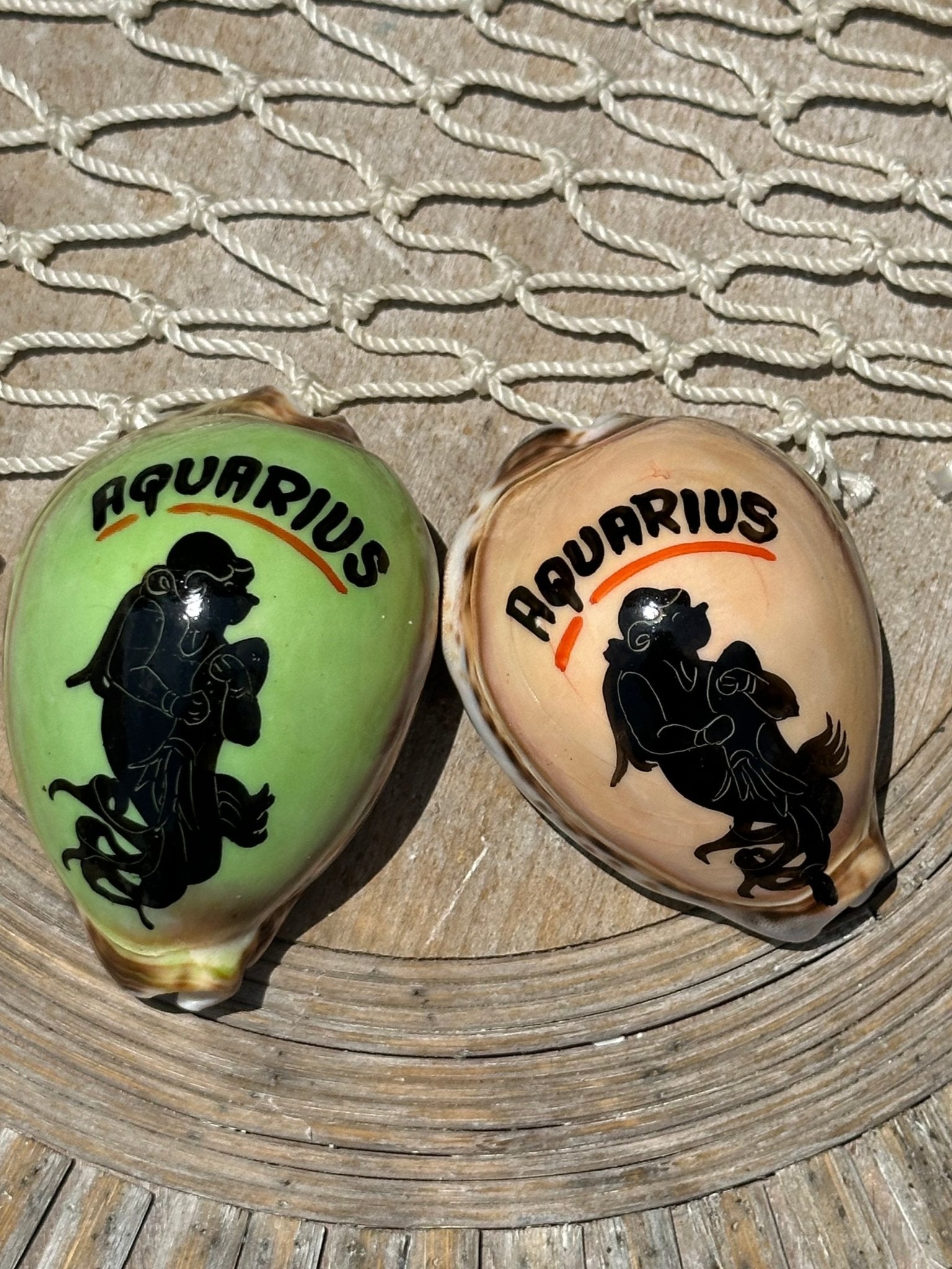Painted Zodiac Sign Cowrie Shell La Vie Bien Painted Zodiac Sign Cowrie Shell