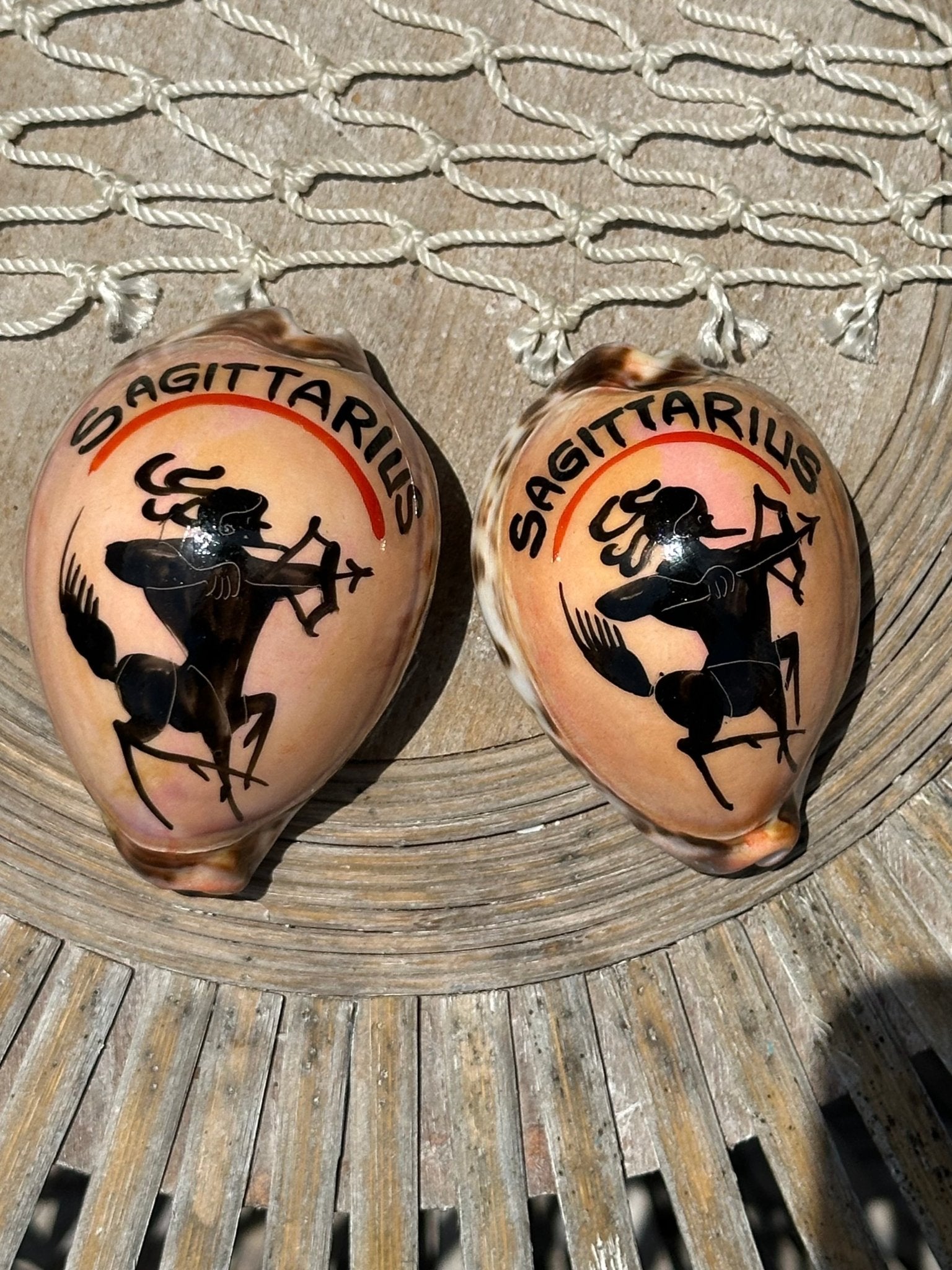 Painted Zodiac Sign Cowrie Shell La Vie Bien Painted Zodiac Sign Cowrie Shell
