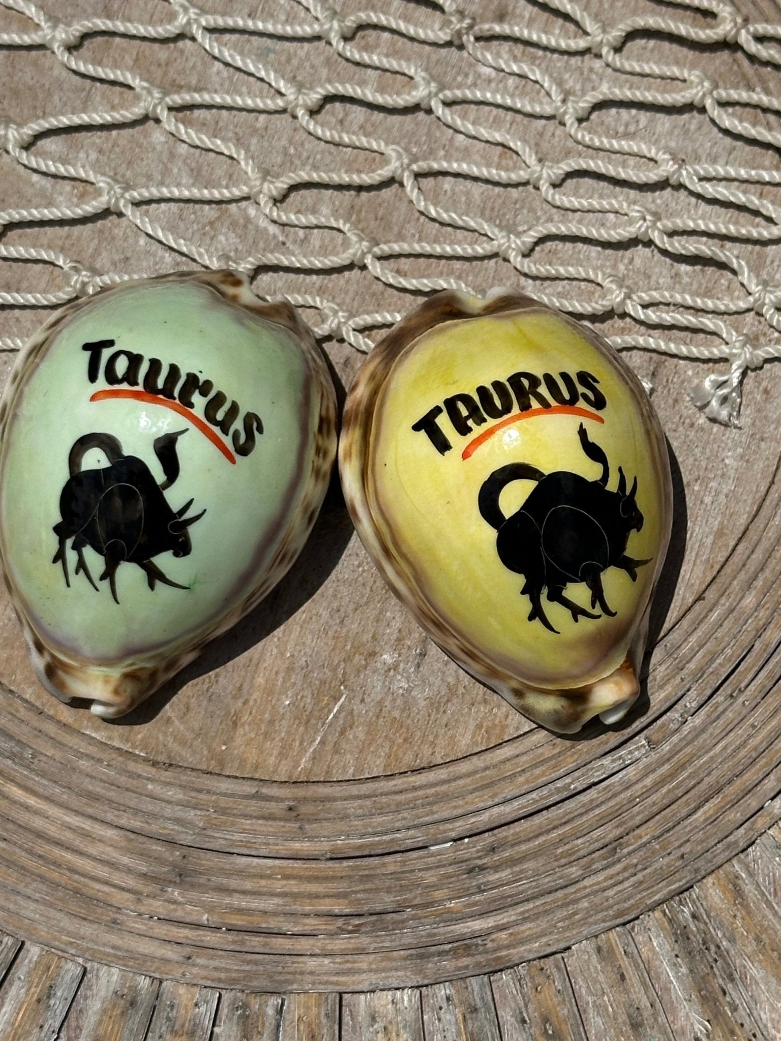 Painted Zodiac Sign Cowrie Shell La Vie Bien Painted Zodiac Sign Cowrie Shell