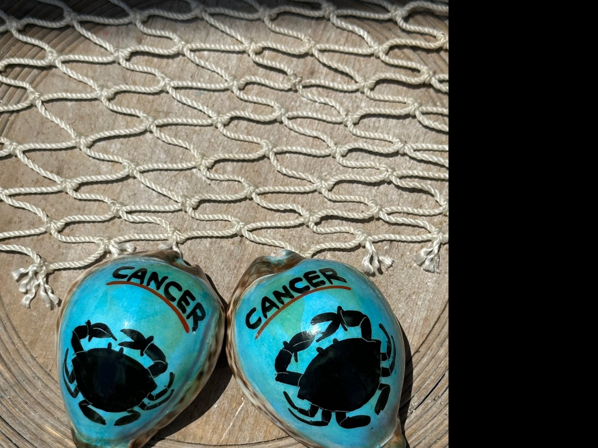 Painted Zodiac Sign Cowrie Shell La Vie Bien Painted Zodiac Sign Cowrie Shell