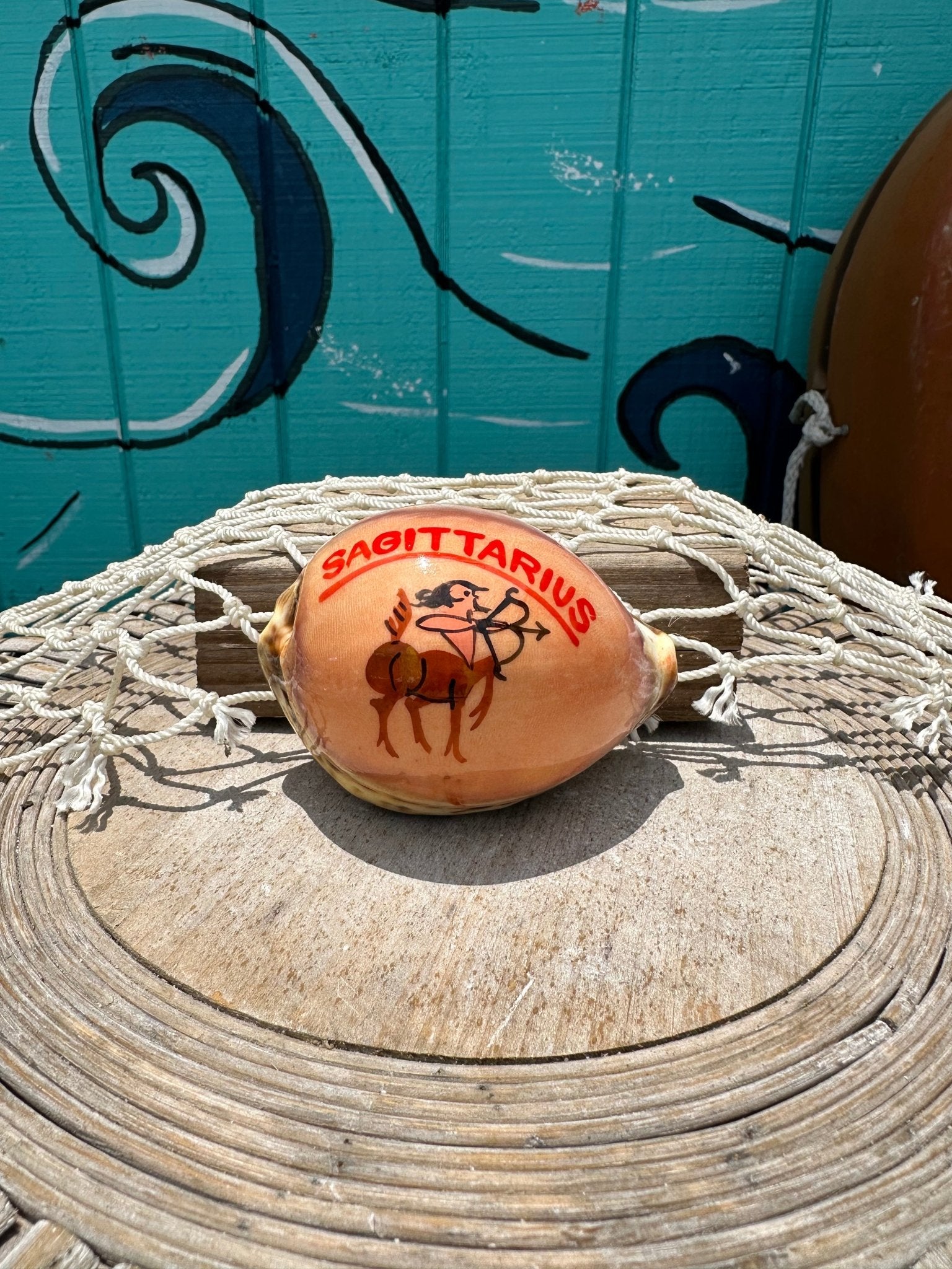 Painted Zodiac Sign Cowrie Shell La Vie Bien Painted Zodiac Sign Cowrie Shell