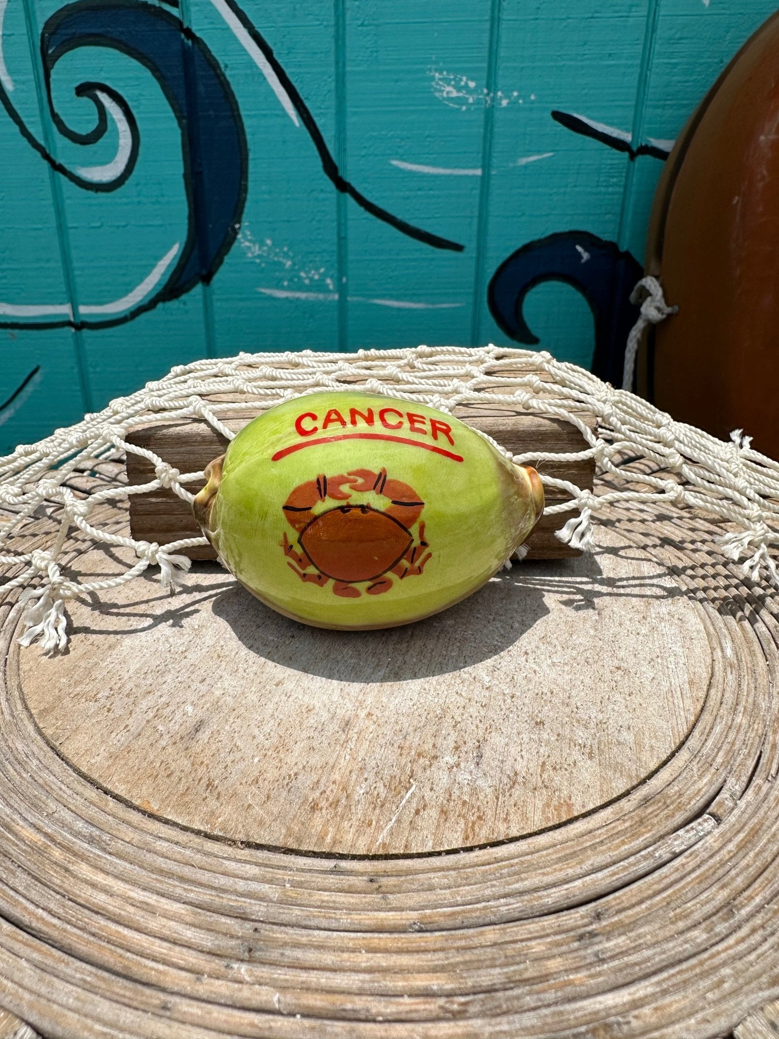 Painted Zodiac Sign Cowrie Shell La Vie Bien Painted Zodiac Sign Cowrie Shell