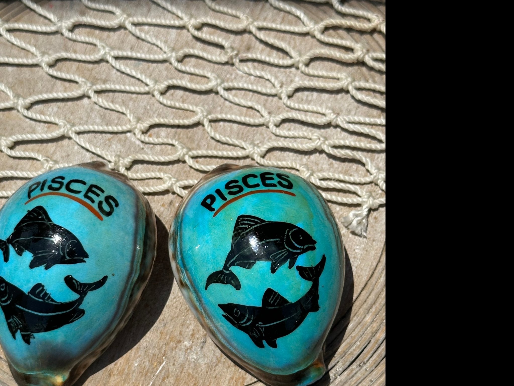Painted Zodiac Sign Cowrie Shell La Vie Bien Painted Zodiac Sign Cowrie Shell