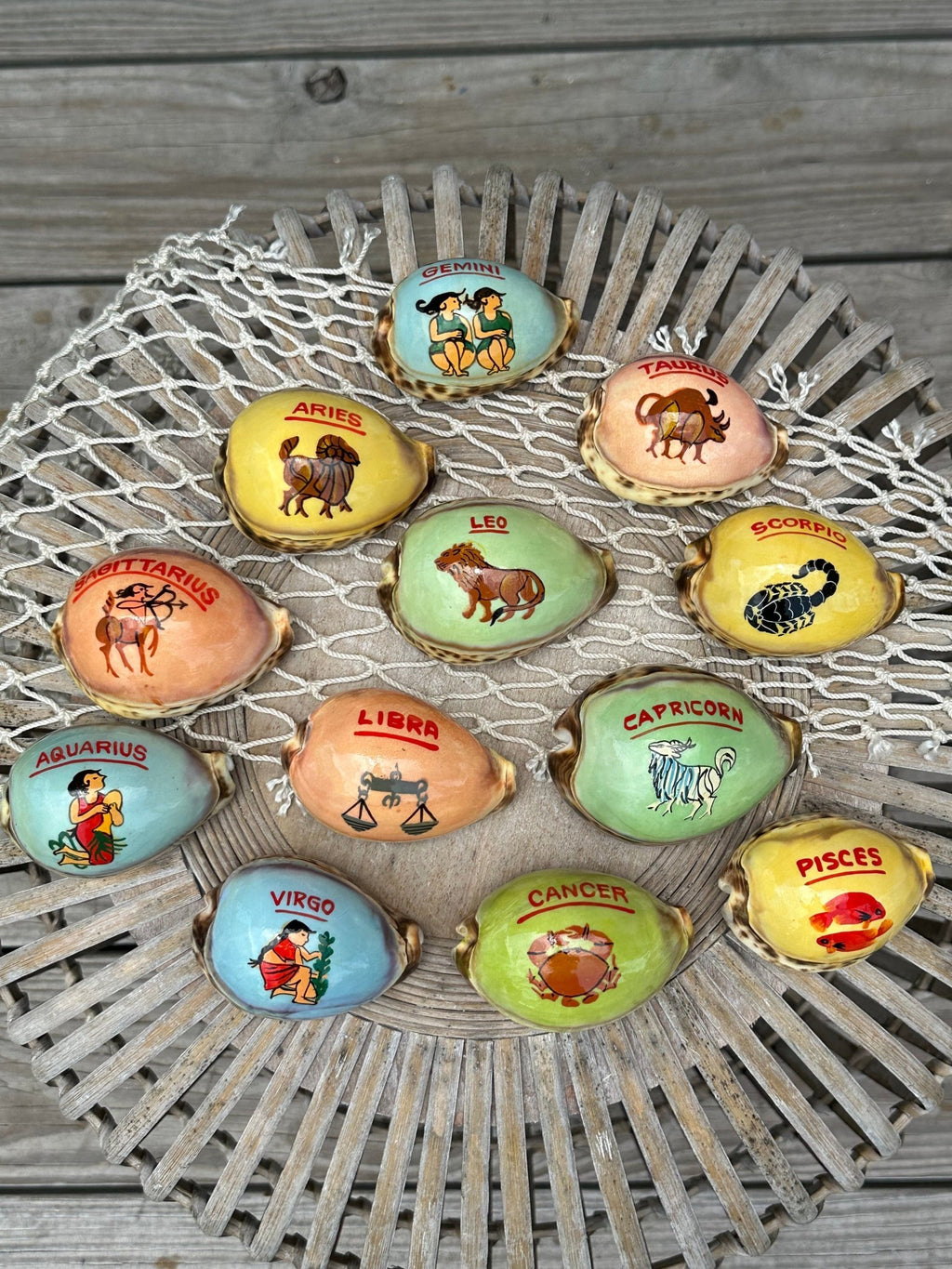 Painted Zodiac Sign Cowrie Shell La Vie Bien Painted Zodiac Sign Cowrie Shell
