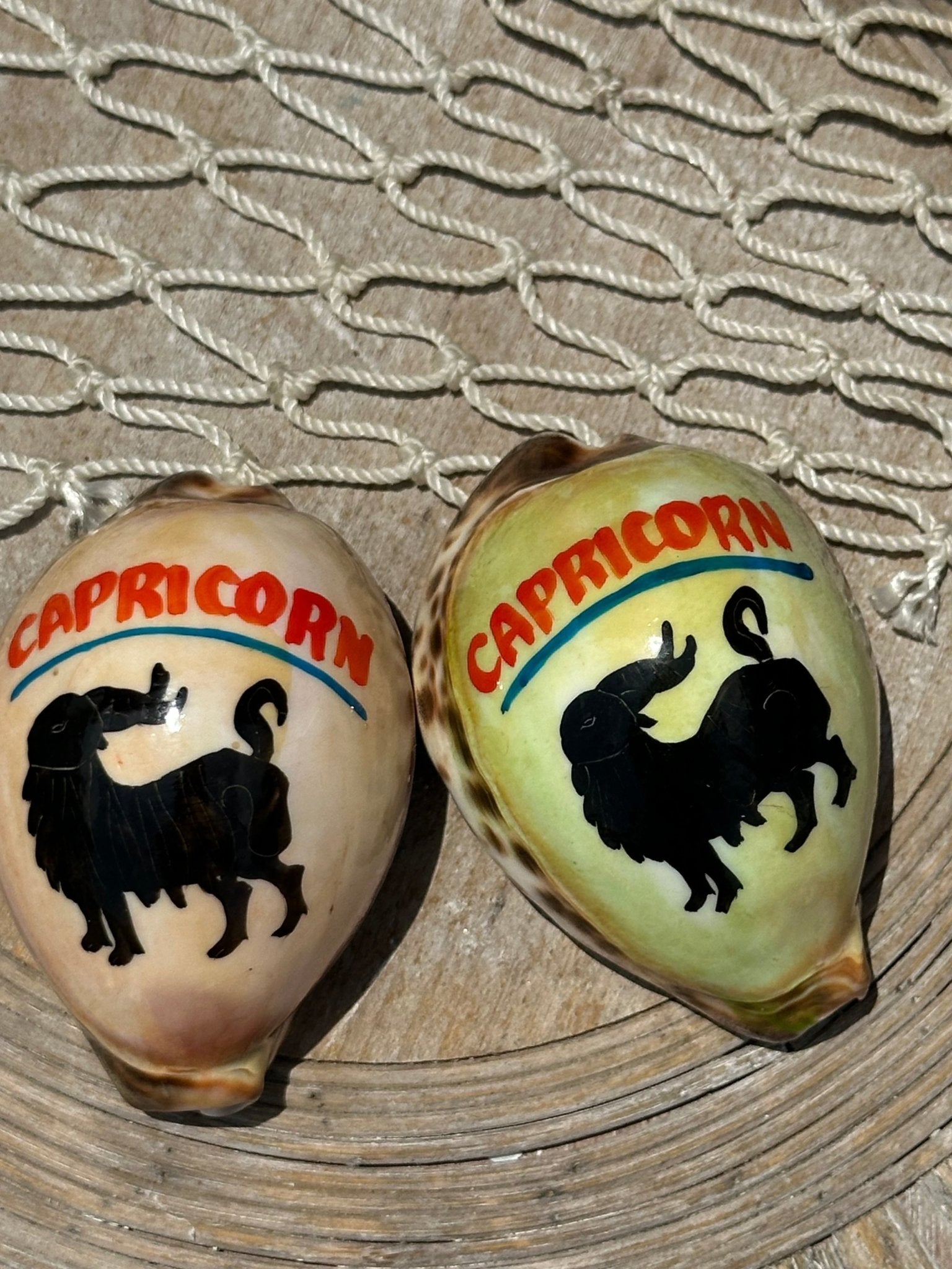 Painted Zodiac Sign Cowrie Shell La Vie Bien Painted Zodiac Sign Cowrie Shell