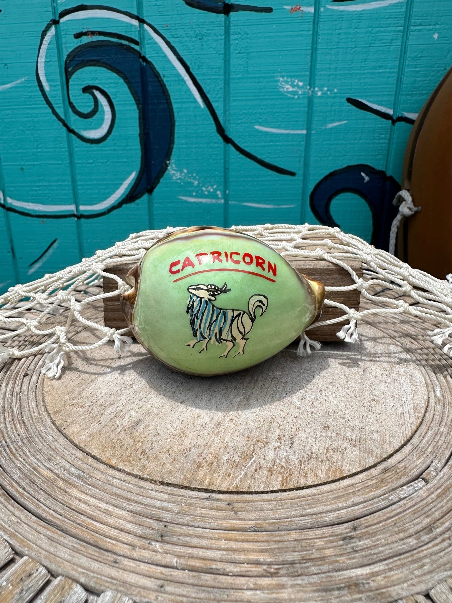 Painted Zodiac Sign Cowrie Shell La Vie Bien Painted Zodiac Sign Cowrie Shell