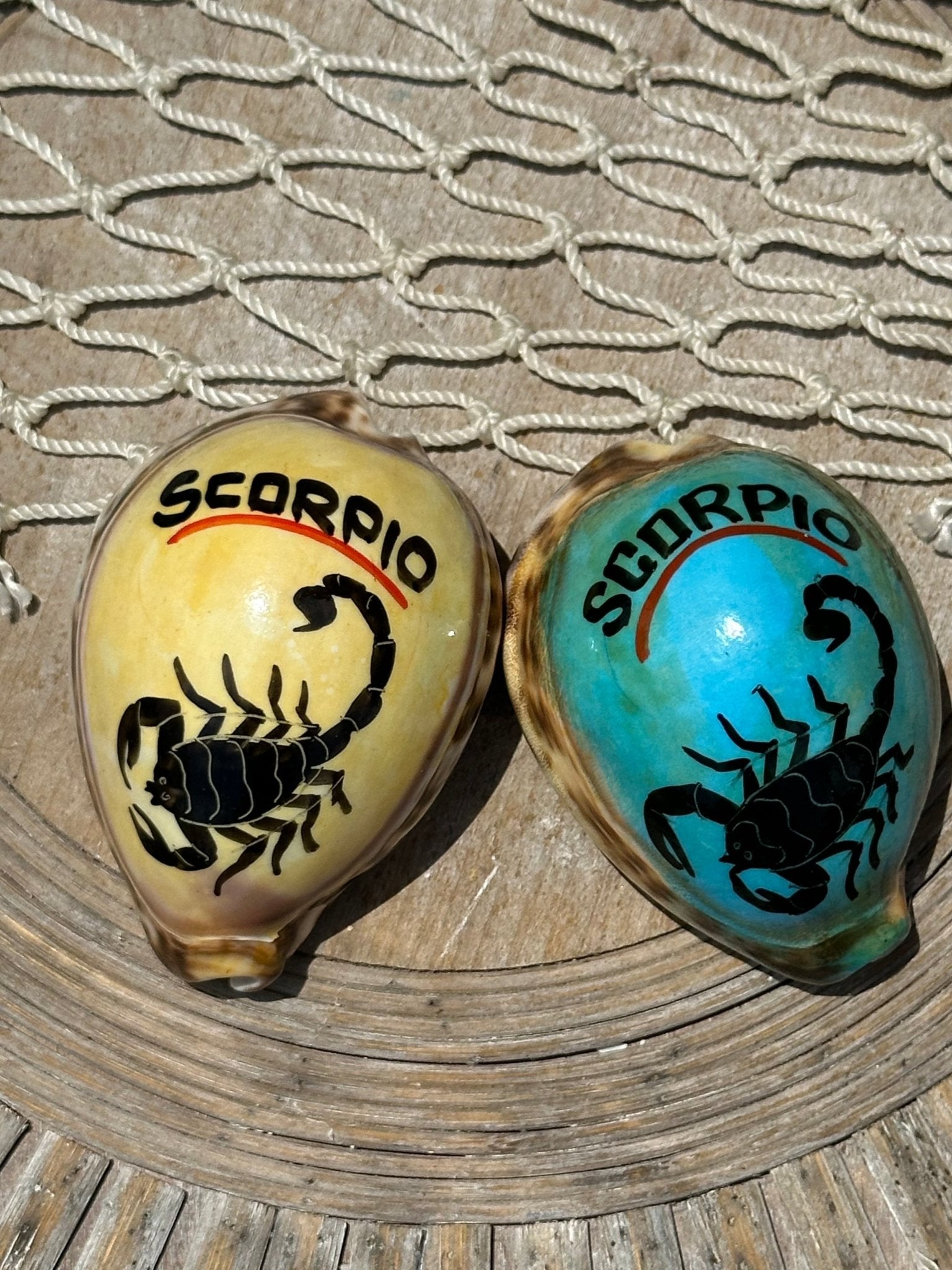 Painted Zodiac Sign Cowrie Shell La Vie Bien Painted Zodiac Sign Cowrie Shell