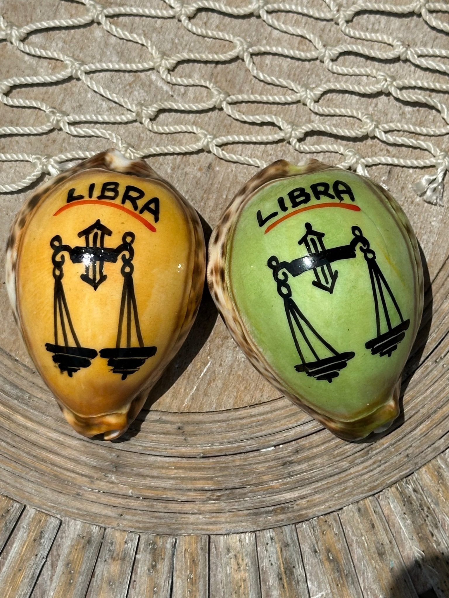Painted Zodiac Sign Cowrie Shell La Vie Bien Painted Zodiac Sign Cowrie Shell