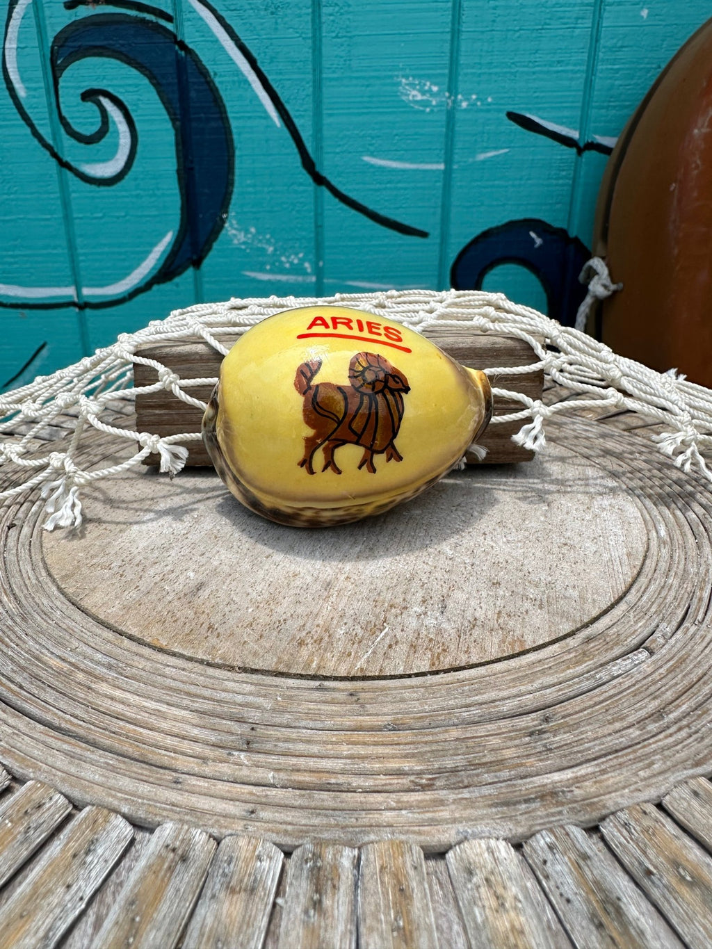 Painted Zodiac Sign Cowrie Shell La Vie Bien Painted Zodiac Sign Cowrie Shell
