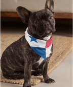 Panama Flag Bandana All-Over Print Bandana La Vie Bien Panama Flag Bandana