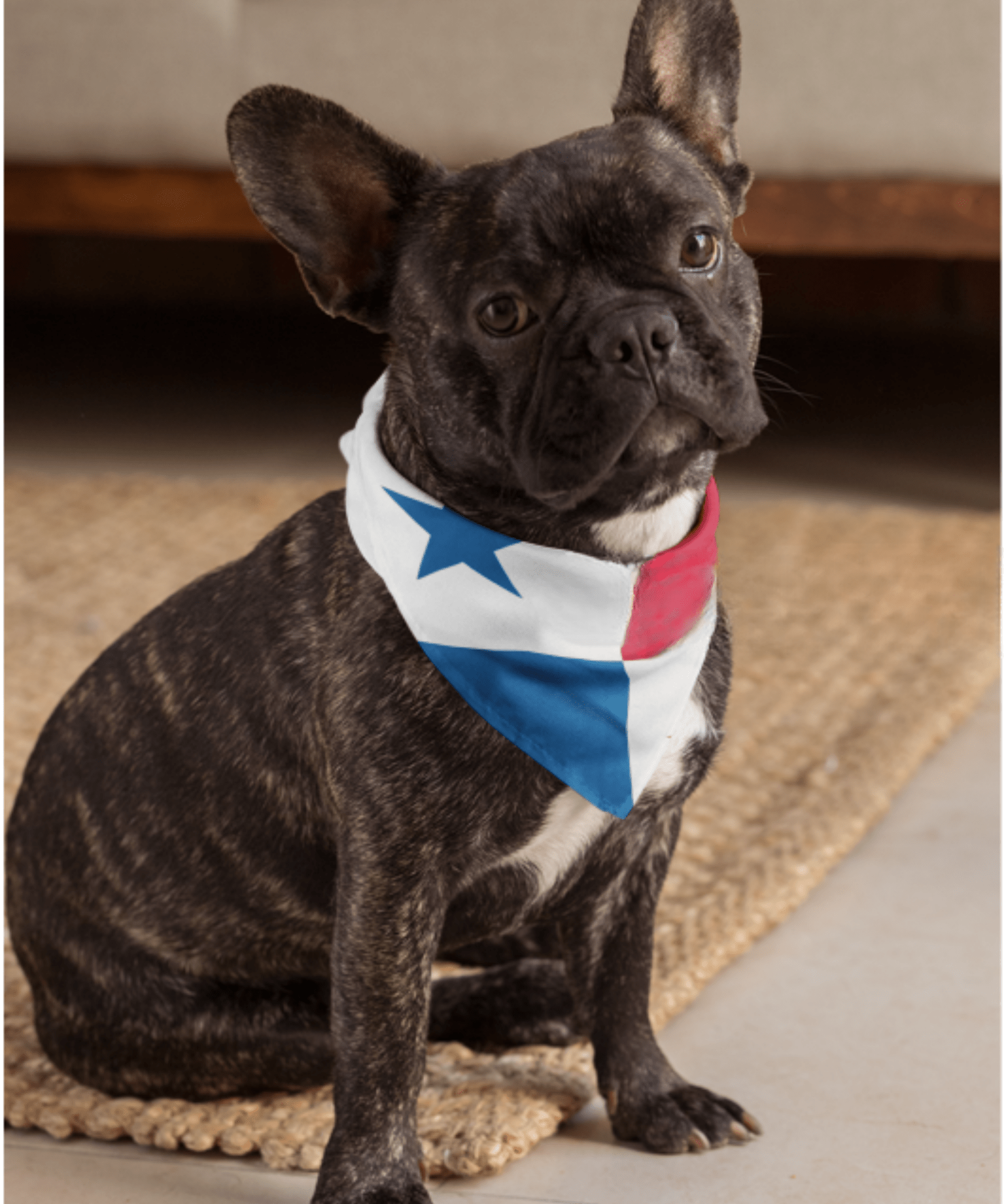 Panama Flag Bandana All-Over Print Bandana La Vie Bien Panama Flag Bandana