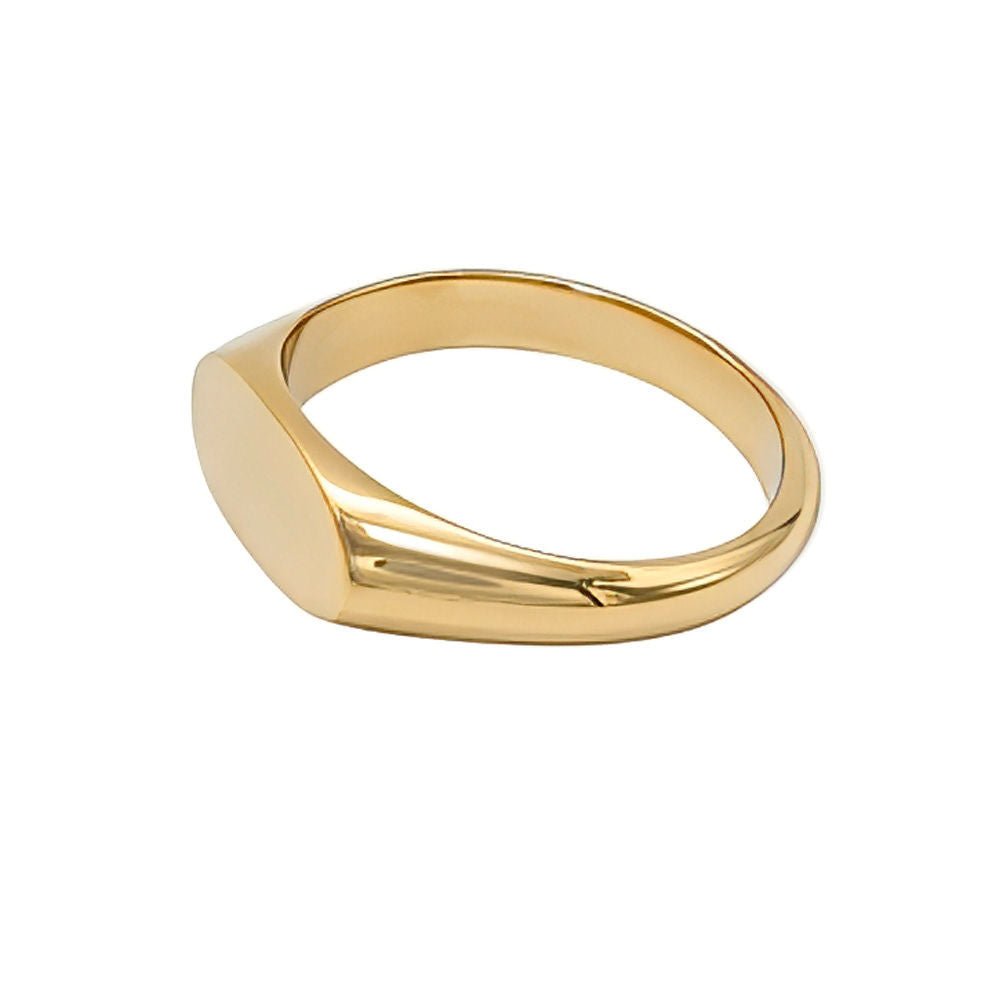 Pendo Oval Signet Brass Ring Rings La Vie Bien Pendo Oval Signet Brass Ring