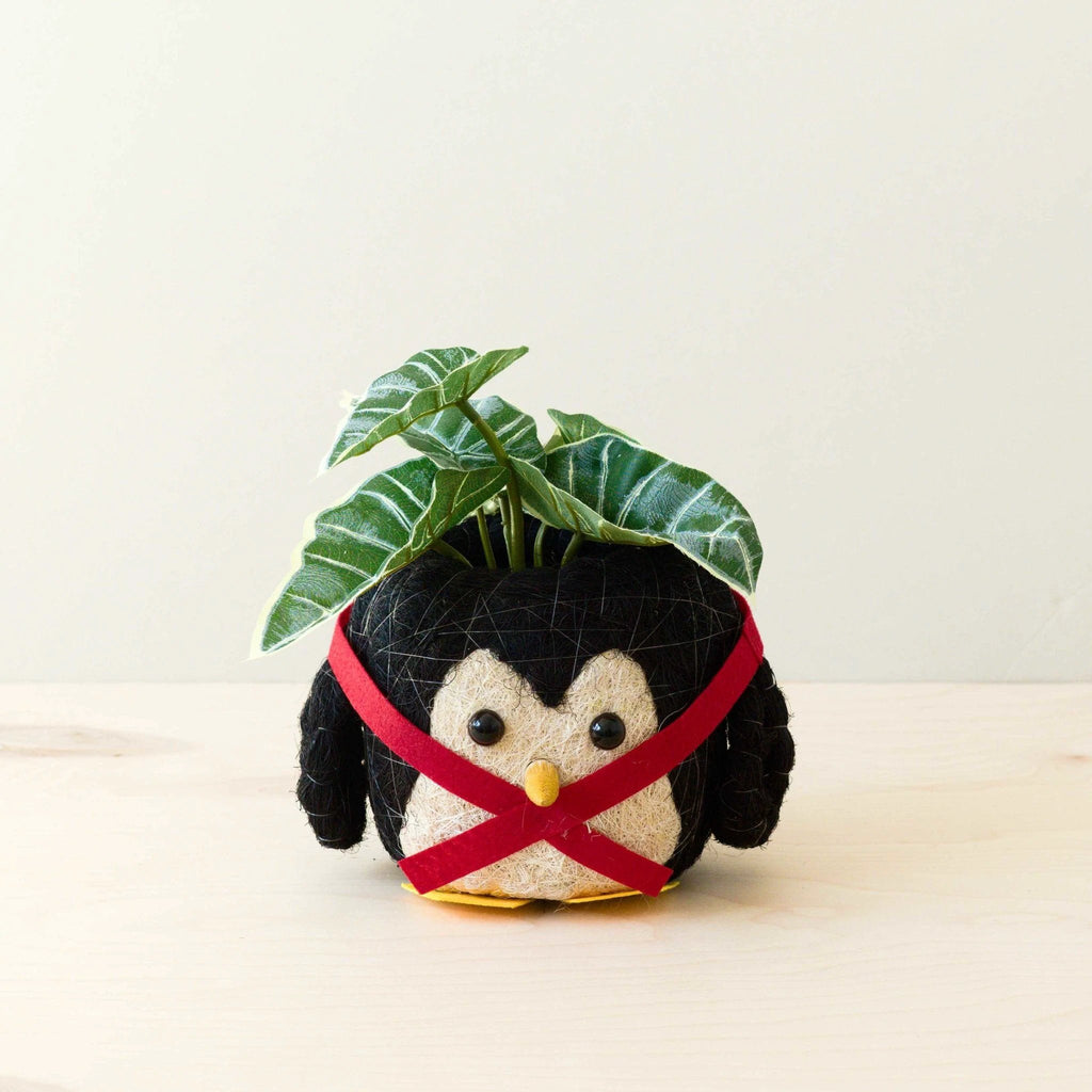 Penguin Planter - Coco Coir Pot | LIKHÂ by LIKHÂ