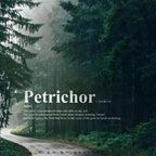 Petrichor - /ˈpetrīˌkôr/ - The Smell of Rain - ROOM & LINEN SPRAY - by Moon Water Apothecary!