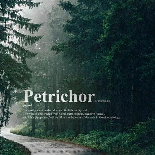 Petrichor - /ˈpetrīˌkôr/ - The Smell of Rain - ROOM & LINEN SPRAY - by Moon Water Apothecary!