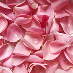 LA VIE EN ROSE | LUXURY SOAP by Pardon My French & Co