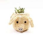 Pig Plant Pot - Animal Head Plant Pot | LIKHÂ by LIKHÂ