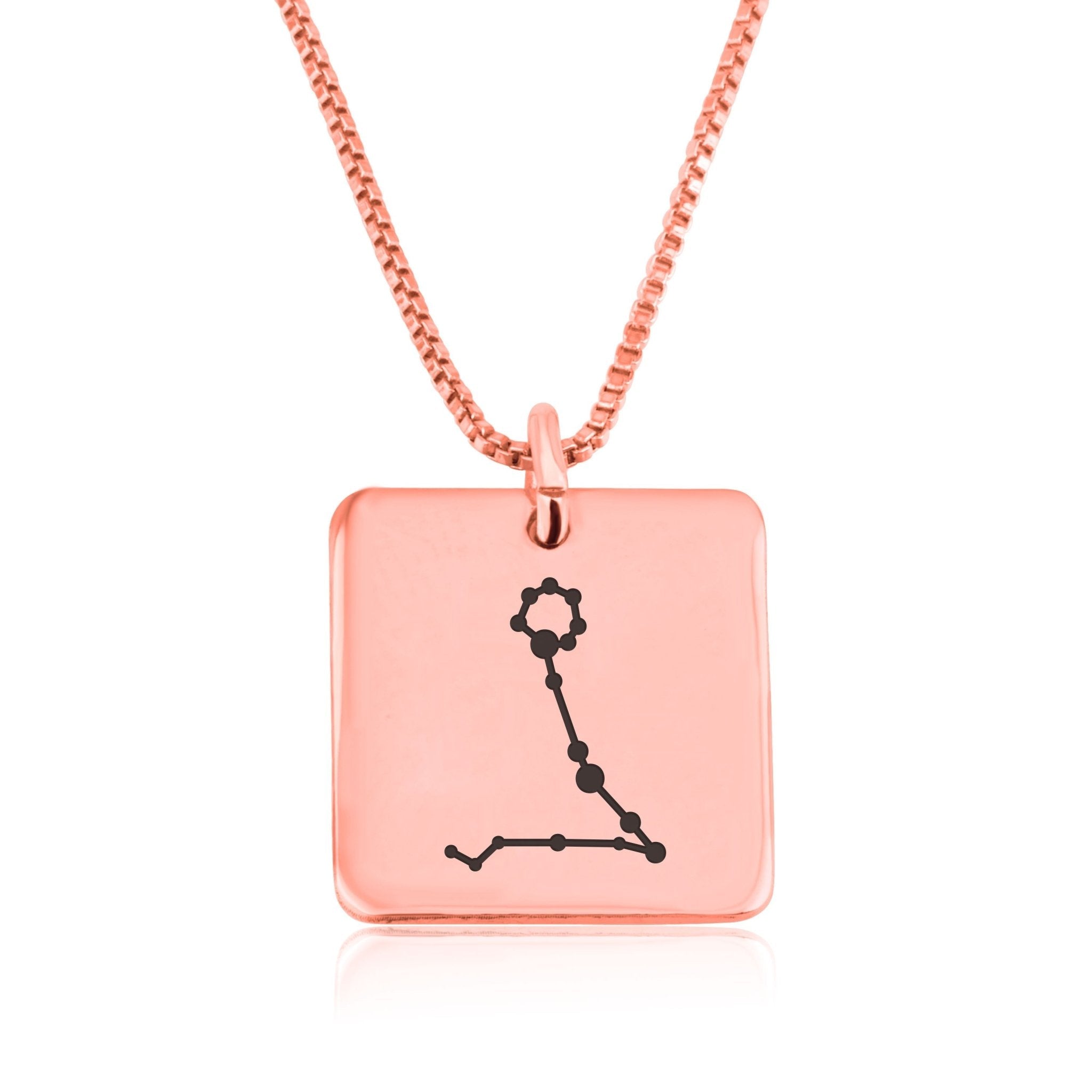 Pisces Constellation Necklace La Vie Bien Pisces Constellation Necklace