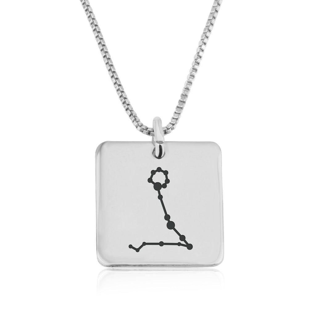 Pisces Constellation Necklace La Vie Bien Pisces Constellation Necklace