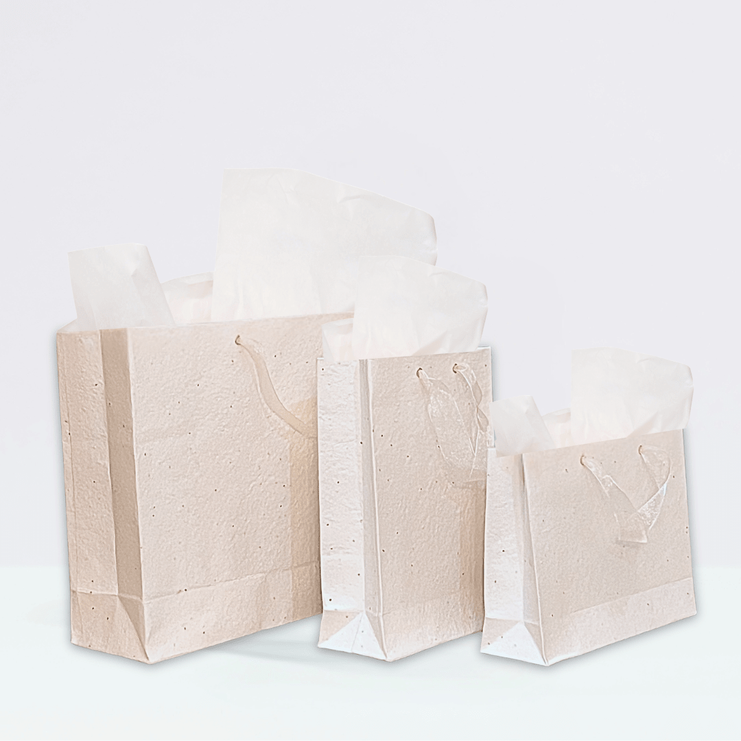 Plant & Grow Gift Bag (Handmade Seed Paper + Ribbon Handles) La Vie Bien Plant & Grow Gift Bag (Handmade Seed Paper + Ribbon Handles)