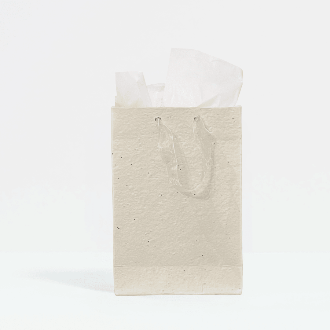 Plant & Grow Gift Bag (Handmade Seed Paper + Ribbon Handles) La Vie Bien Plant & Grow Gift Bag (Handmade Seed Paper + Ribbon Handles)