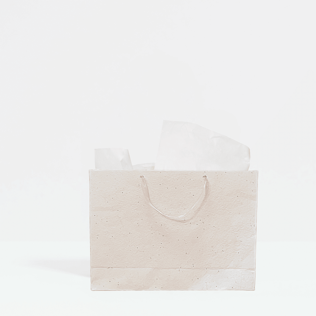 Plant & Grow Gift Bag (Handmade Seed Paper + Ribbon Handles) La Vie Bien Plant & Grow Gift Bag (Handmade Seed Paper + Ribbon Handles)