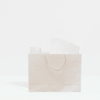 Plant & Grow Gift Bag (Handmade Seed Paper + Ribbon Handles) La Vie Bien Plant & Grow Gift Bag (Handmade Seed Paper + Ribbon Handles)