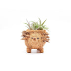 Baby Hedgehog Plant Pot - Handmade Planters | LIKHÂ by LIKHÂ