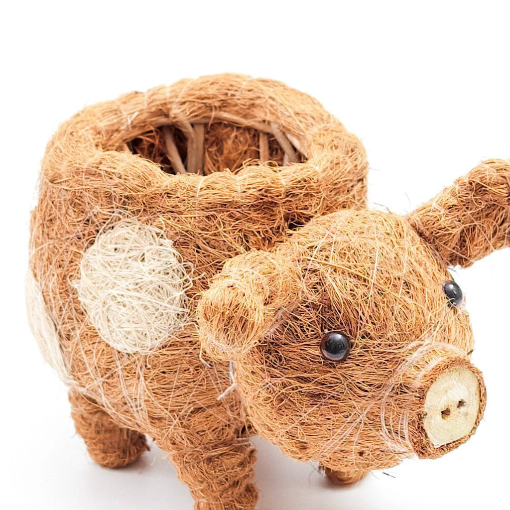 Baby Pig Succulent Pot - Handmade Planters | LIKHÂ by LIKHÂ