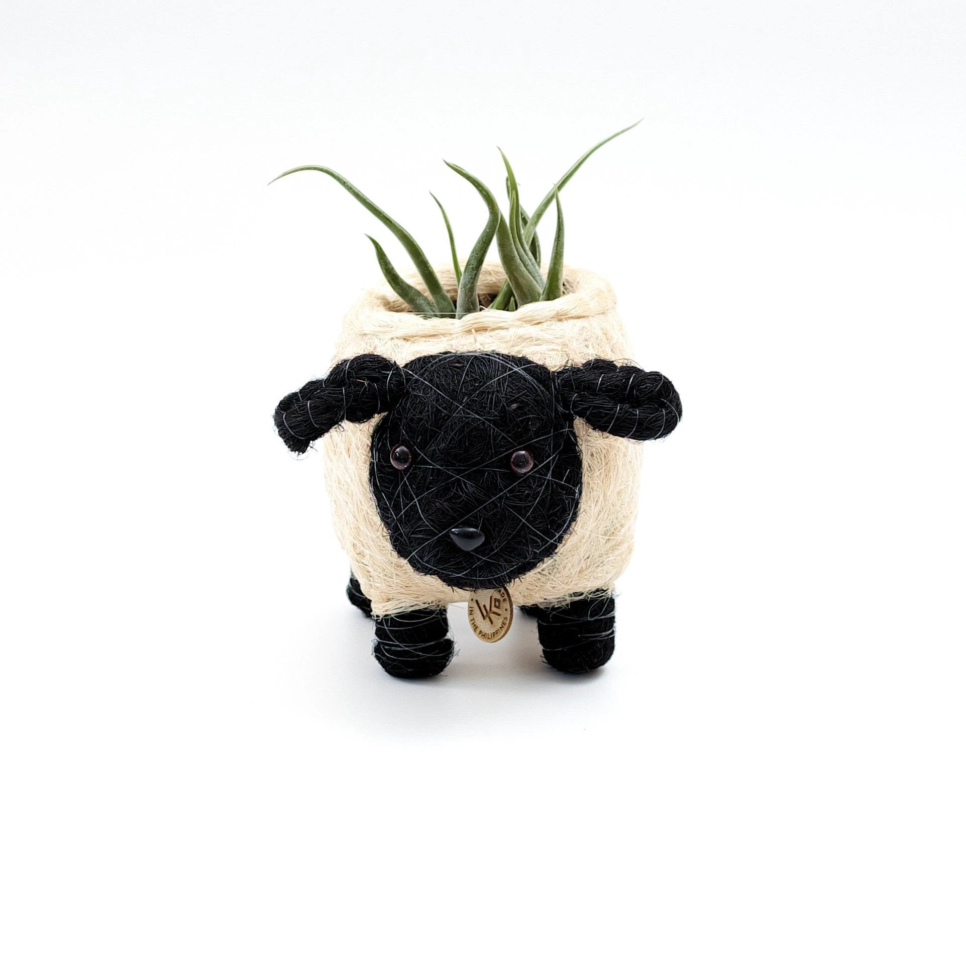 Baby Sheep Planter - Coco Coir Pots | LIKHÂ by LIKHÂ