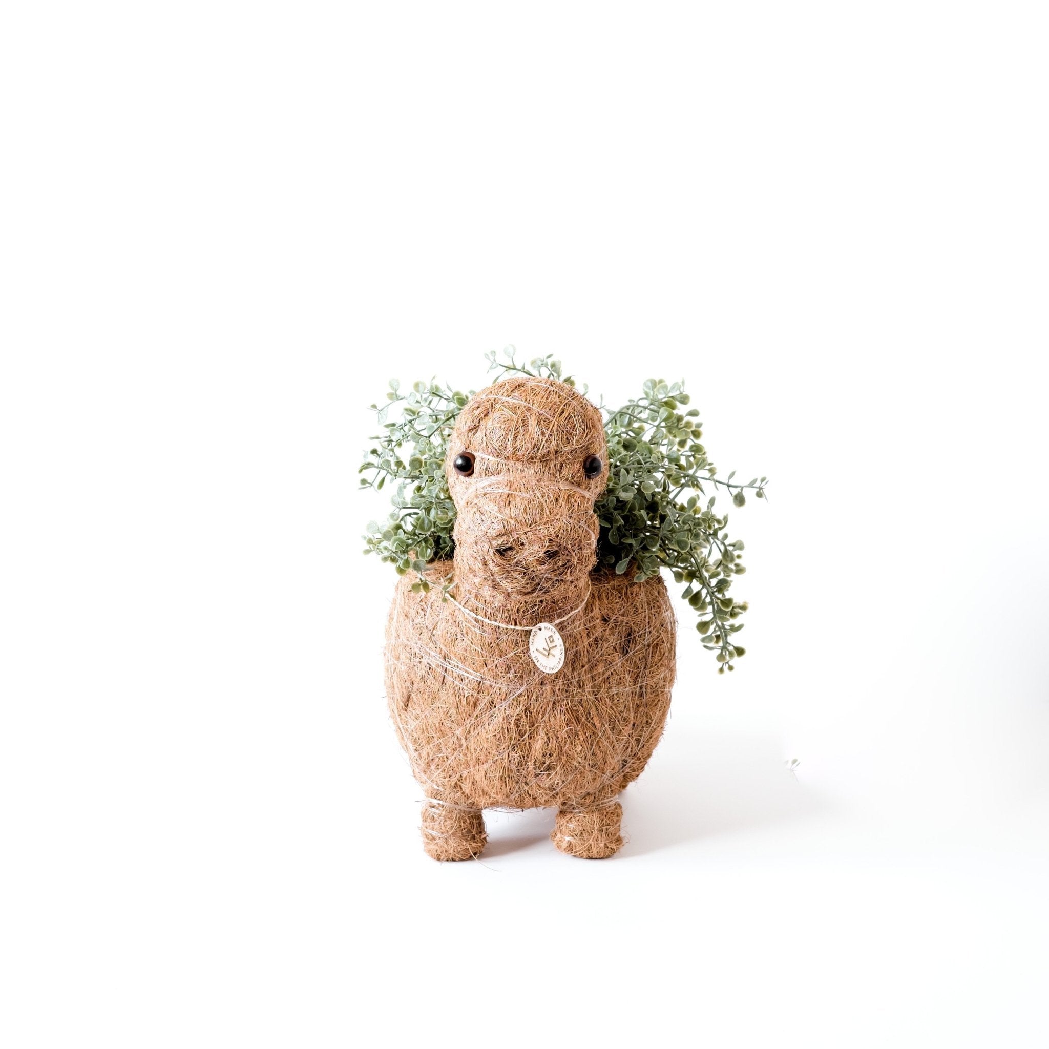 Brontosaurus Planter - Coco Coir Pots | LIKHÂ