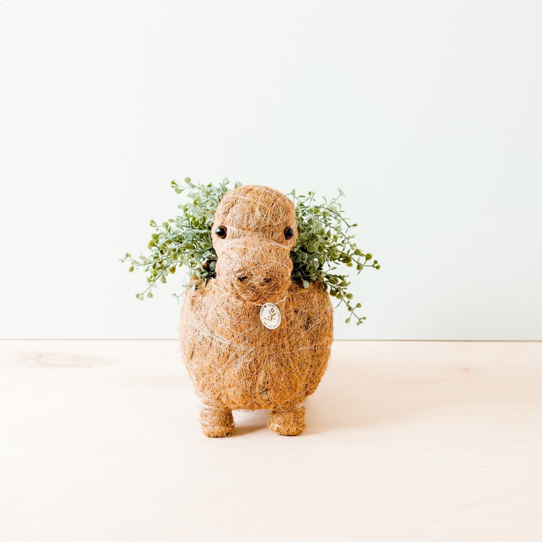 Brontosaurus Planter - Coco Coir Pots | LIKHÂ