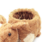 Pig Planter - Coco Coir Pots | LIKHÂ by LIKHÂ