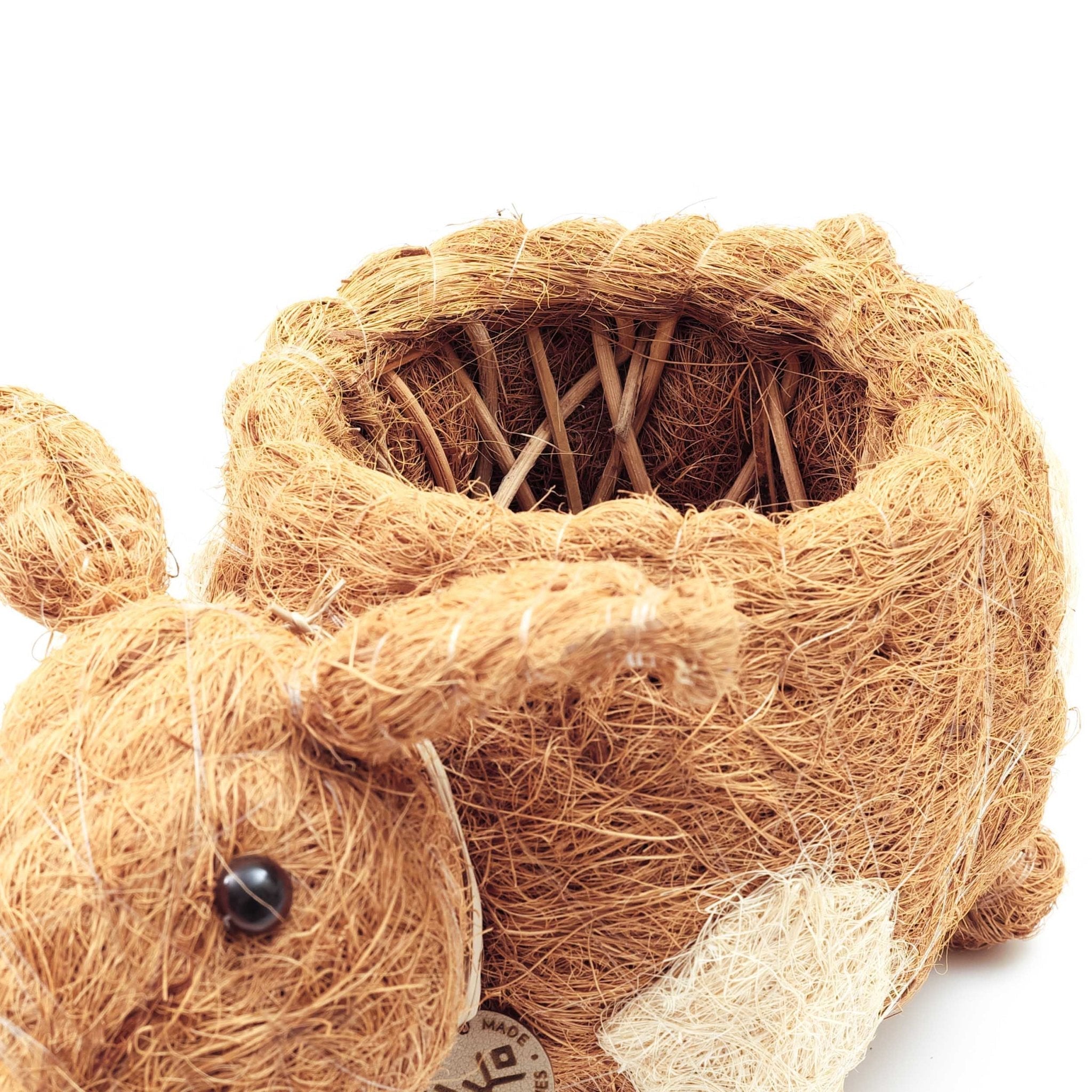 Pig Planter - Coco Coir Pots | LIKHÂ by LIKHÂ