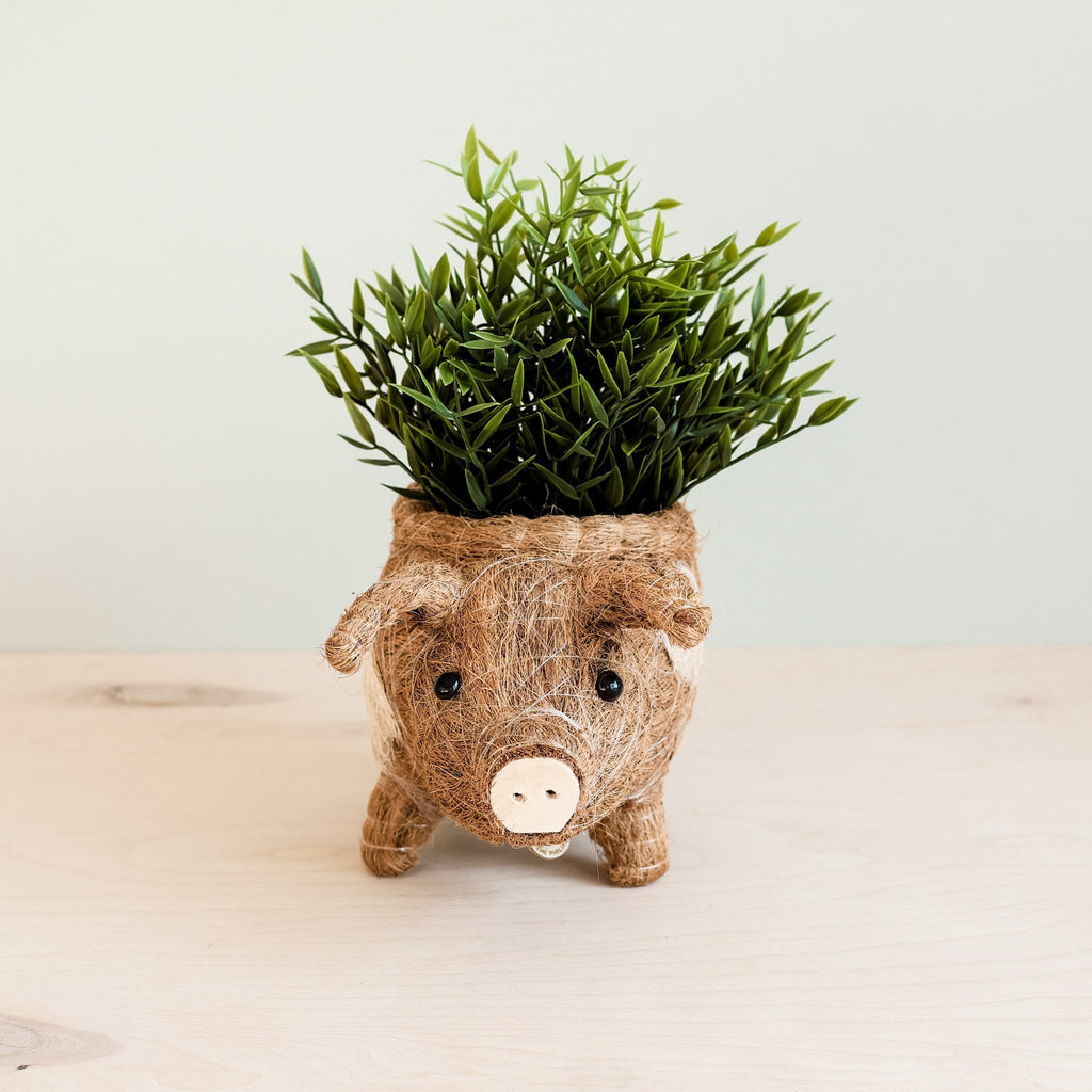 Pig Planter - Coco Coir Pots | LIKHÂ by LIKHÂ