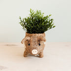 Pig Planter - Coco Coir Pots | LIKHÂ by LIKHÂ