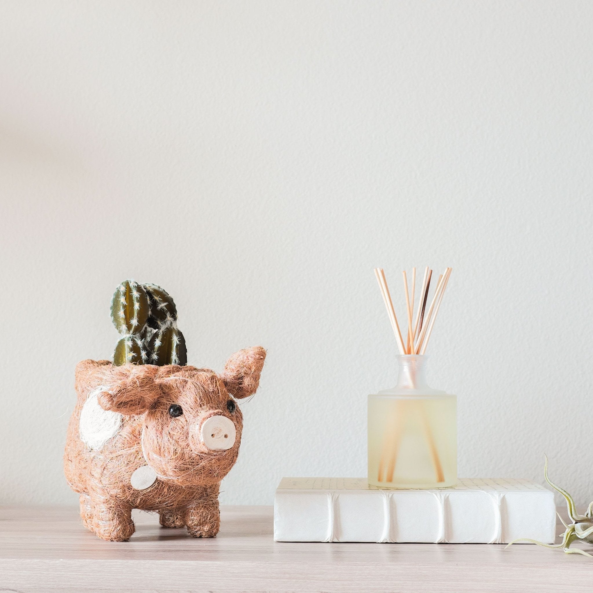 Pig Planter - Coco Coir Pots | LIKHÂ by LIKHÂ