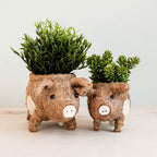 Pig Planter - Coco Coir Pots | LIKHÂ by LIKHÂ