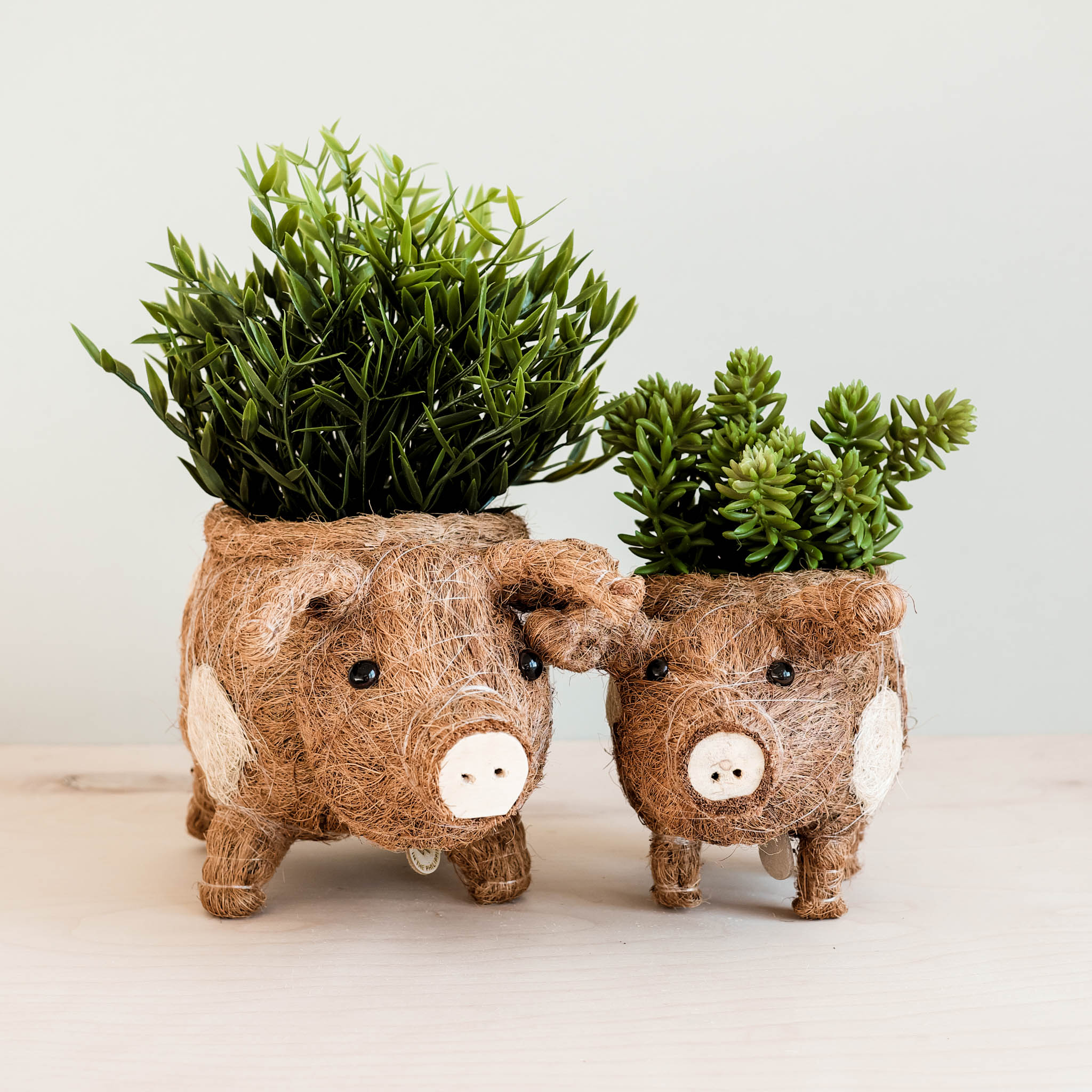 Pig Planter - Coco Coir Pots | LIKHÂ by LIKHÂ