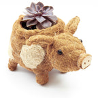 Pig Planter - Coco Coir Pots | LIKHÂ by LIKHÂ
