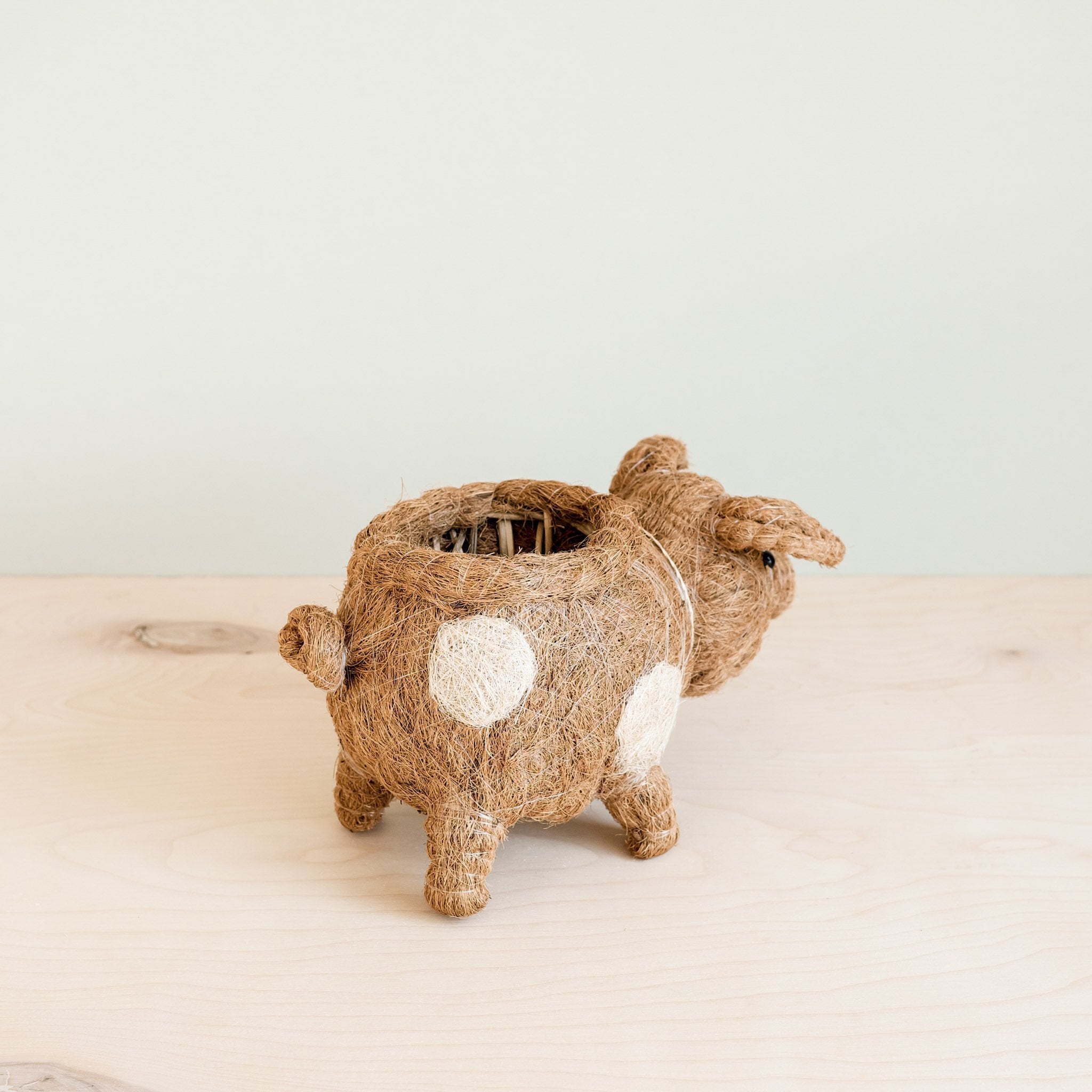 Pig Planter - Coco Coir Pots | LIKHÂ by LIKHÂ