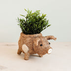 Pig Planter - Coco Coir Pots | LIKHÂ by LIKHÂ